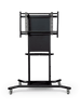 NewLine TruLift iTeachSpider Motorized Mobile Stand