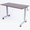 Luxor 60" High Speed Crank Adjustable Stand Up Desk